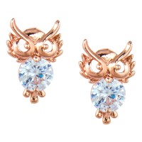 Korean Made Cubic Zirconia Stylish Owl Dailywear Stud Earring For Women (KK1JERGS111831)